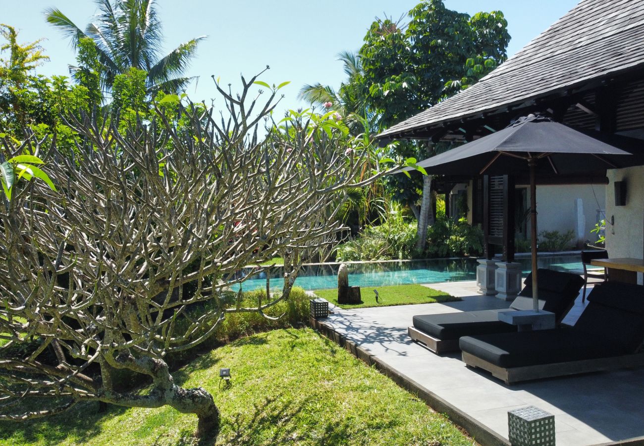 Villa in Beau Champ - Villa Élégance du Sud - Piscine et Jardin