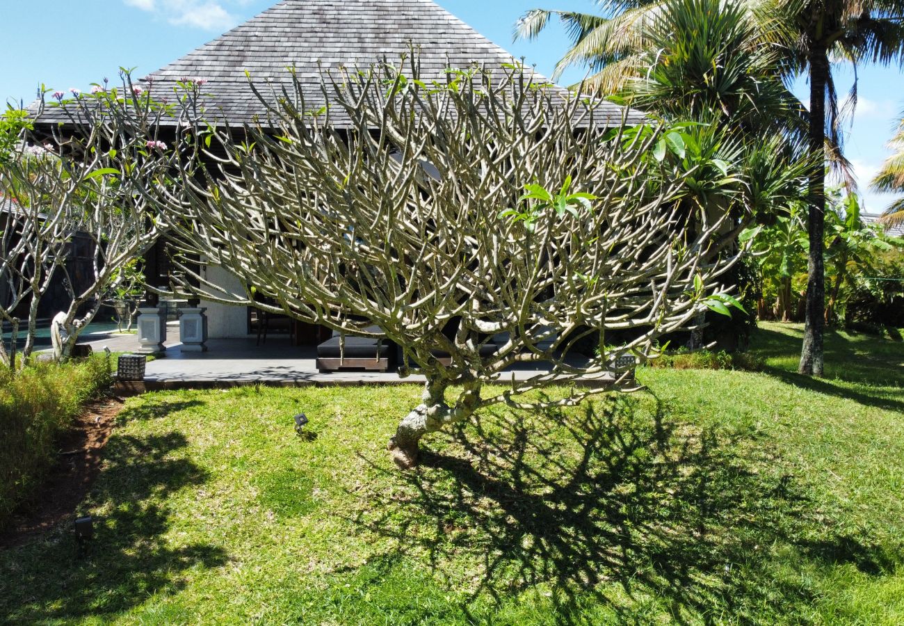 Villa in Beau Champ - Villa Élégance du Sud - Piscine et Jardin